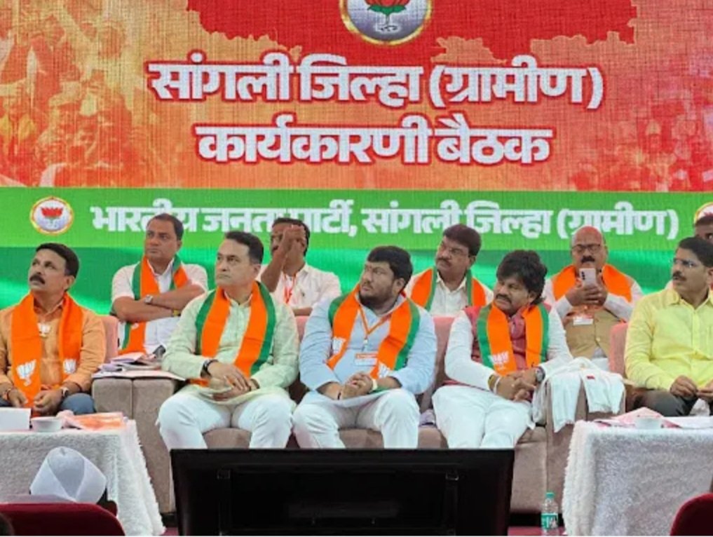 तासगाव-कवठेमहांकाळचे पालकत्व आमदार गोपीचंद पडळकरांकडे द्या; भाजप कार्यकर्त्यांची जोरदार मागणी